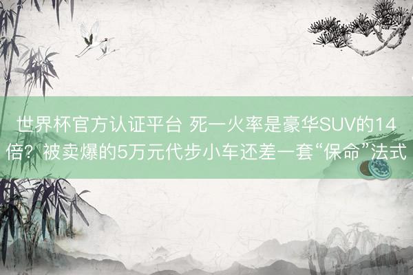 世界杯官方认证平台 死一火率是豪华SUV的14倍?被卖爆的5万元代步小车还差一套“保命”法式