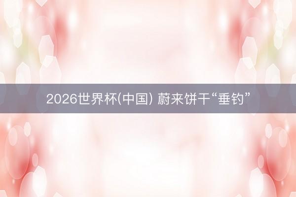 2026世界杯(中国) 蔚来饼干“垂钓”