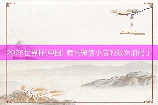 2026世界杯(中国) 腾讯微信小店的激发加码了