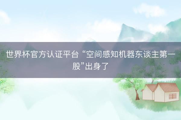 世界杯官方认证平台 “空间感知机器东谈主第一股”出身了