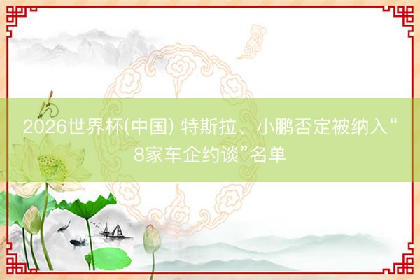 2026世界杯(中国) 特斯拉、小鹏否定被纳入“8家车企约谈”名单