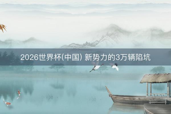 2026世界杯(中国) 新势力的3万辆陷坑