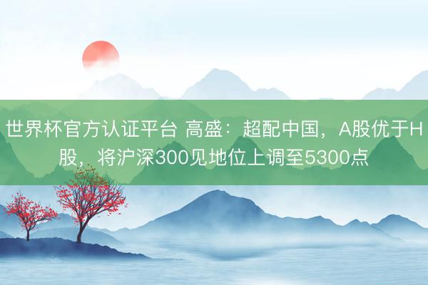 世界杯官方认证平台 高盛：超配中国，A股优于H股，将沪深300见地位上调至5300点