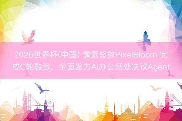 2026世界杯(中国) 像素怒放PixelBloom 完成C轮融资，全面发力AI办公惩处决议Agent