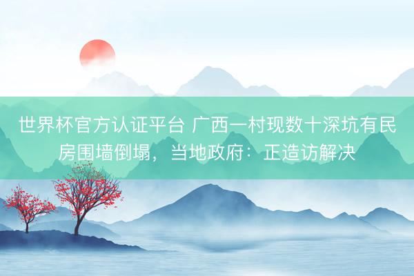 世界杯官方认证平台 广西一村现数十深坑有民房围墙倒塌，当地政府：正造访解决