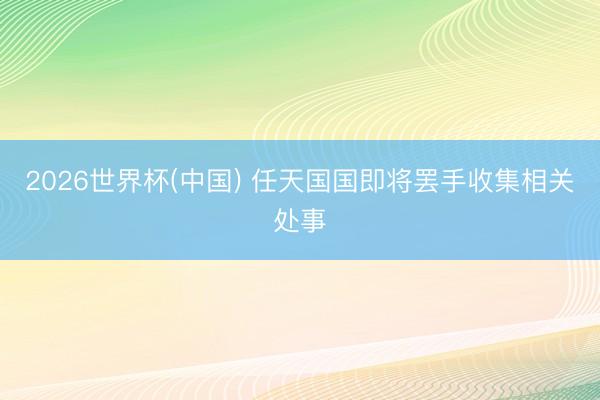 2026世界杯(中国) 任天国国即将罢手收集相关处事