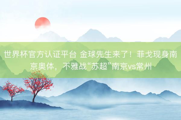 世界杯官方认证平台 金球先生来了！菲戈现身南京奥体，不雅战“苏超”南京vs常州
