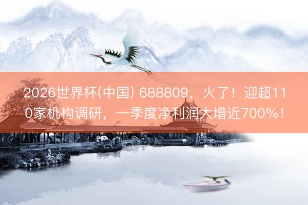 2026世界杯(中国) 688809,火了!迎超110家机构调研,一季度净利润大增近700%!