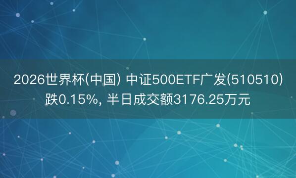 2026世界杯(中国) 中证500ETF广发(510510)跌0.15%， 半日成交额3176.25万元