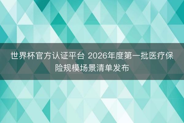 世界杯官方认证平台 2026年度第一批医疗保险规模场景清单发布