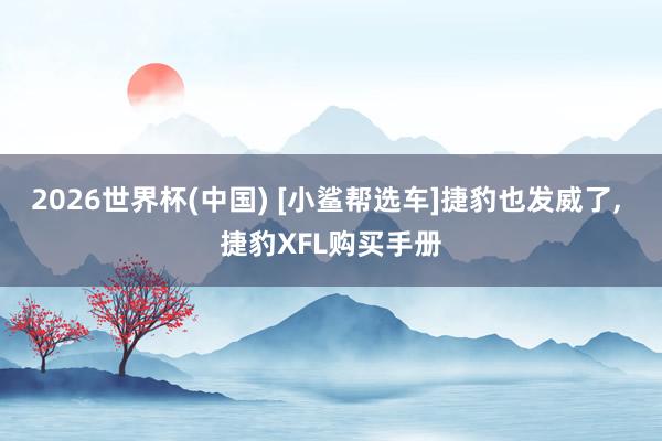 2026世界杯(中国) [小鲨帮选车]捷豹也发威了， 捷豹XFL购买手册